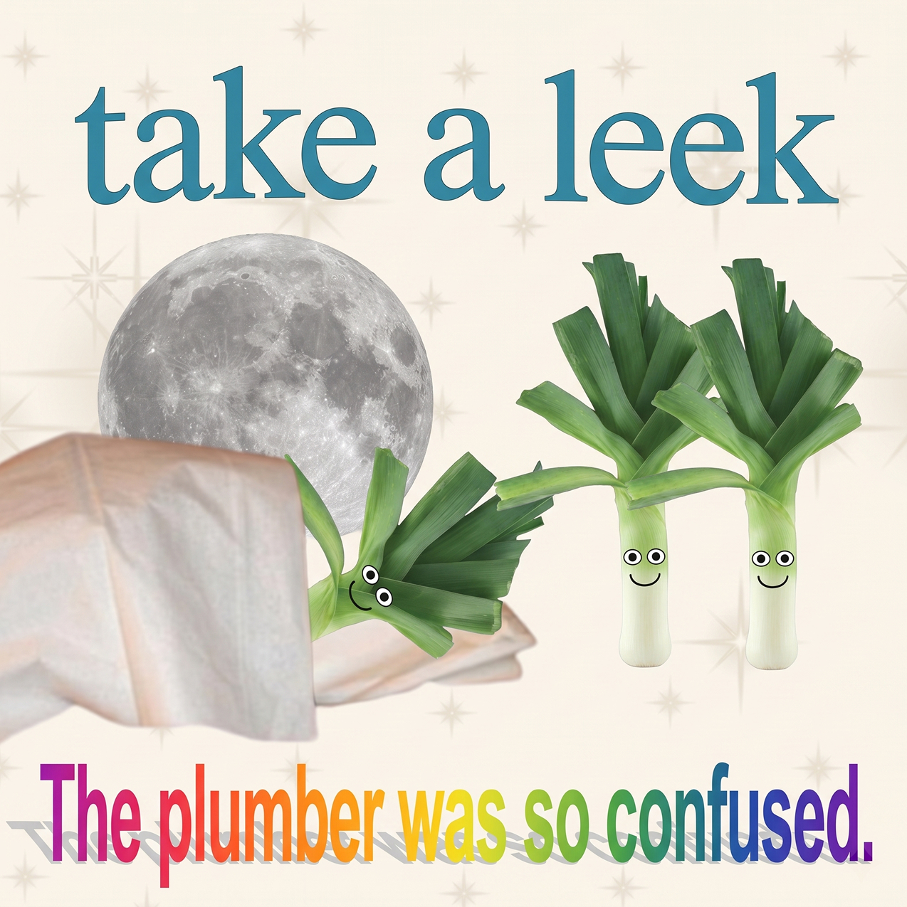 Two leeks under the moon, the plumber was so confused